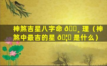 神煞吉星八字命 🌸 理（神煞中最吉的星 🦍 是什么）